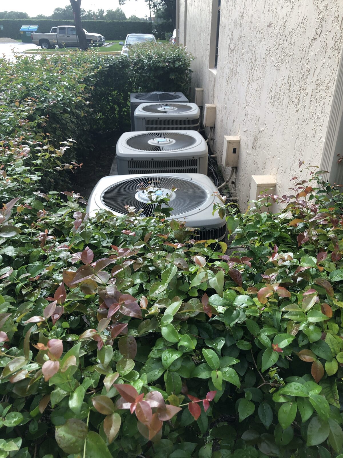A row of residential condenser units tucked behind landscaping hedges