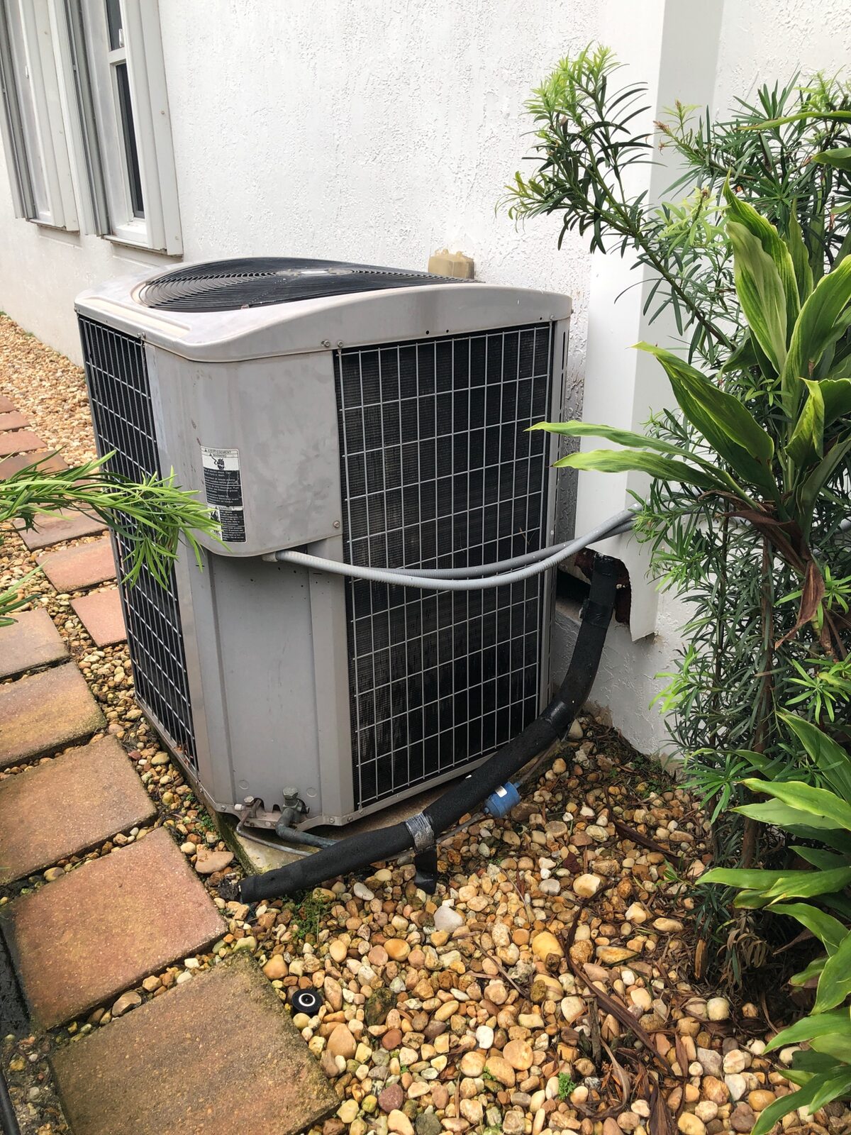Compact outdoor condenser beside a white wall framed by tropical landscaping